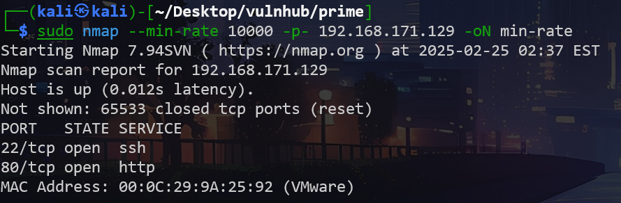 image-20250225153823533