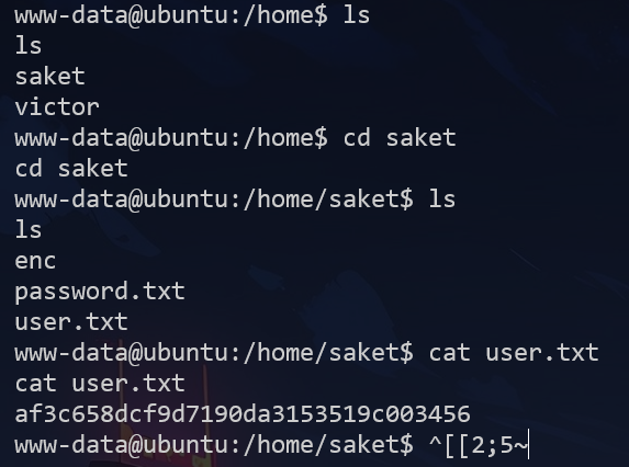 image-20250225181656944